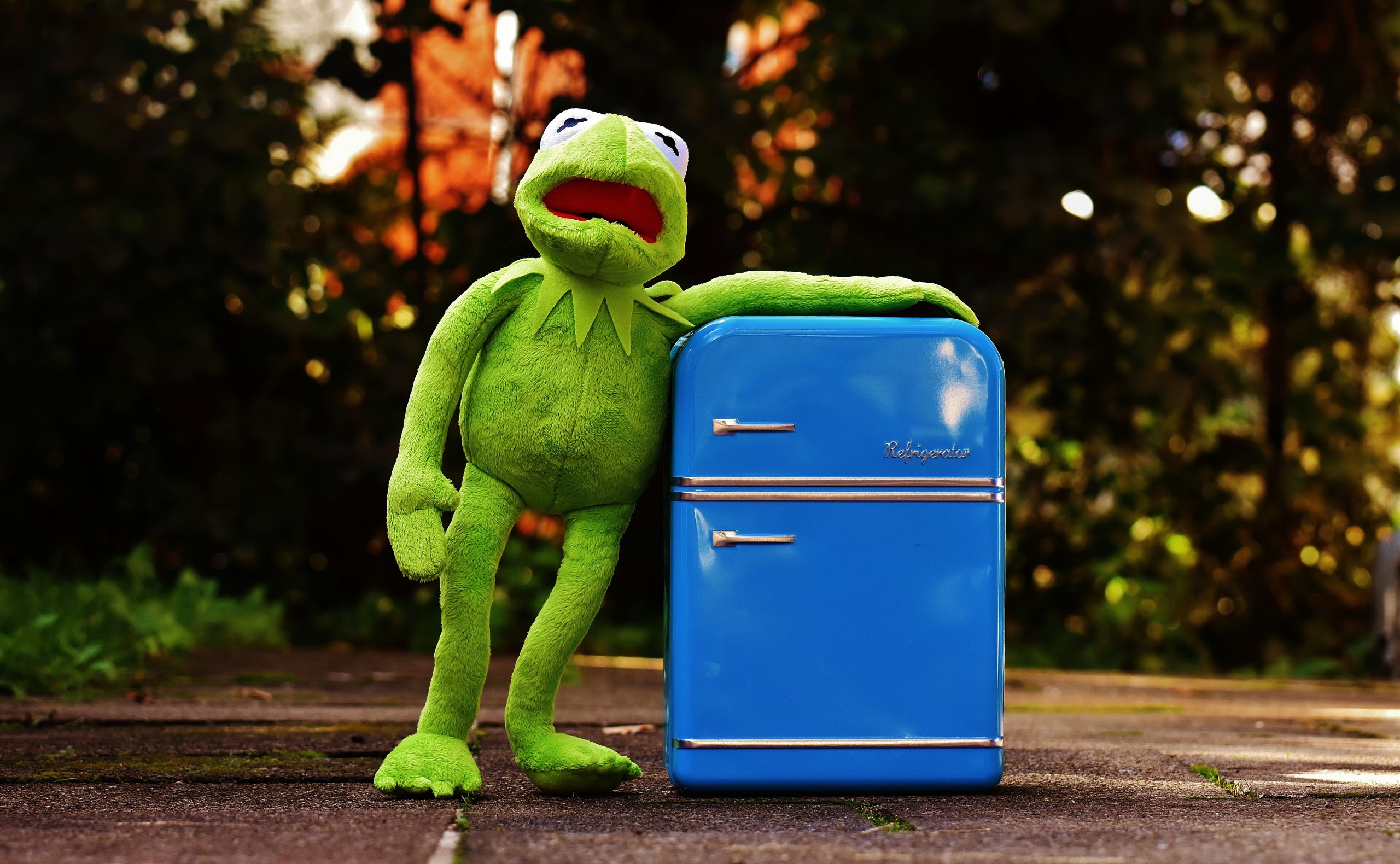 Refrigerador Pequeño Para Cuarto