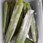 Cuanto Duran Los Nopales Cocidos En El Refrigerador