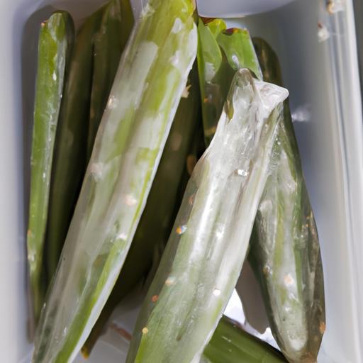 Cuanto Duran Los Nopales Cocidos En El Refrigerador