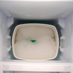 Coldest En Un Refrigerador