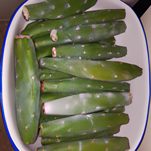 Cuanto Duran Los Nopales En El Refrigerador