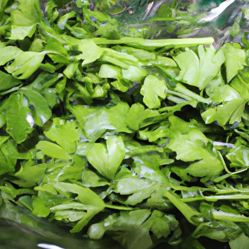 Como Conservar El Cilantro Fresco En El Refrigerador