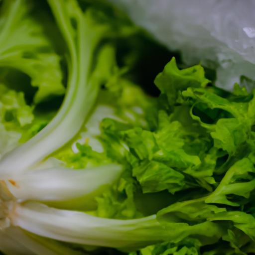 Como Dura Mas La Lechuga En El Refrigerador