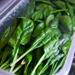 Como Conservar Espinacas En El Refrigerador