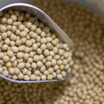 Cuanto Dura La Soya En El Refrigerador