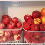 Que Frutas Van En El Refrigerador