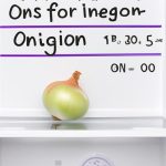 Cuanto Dura La Cebolla En El Refrigerador