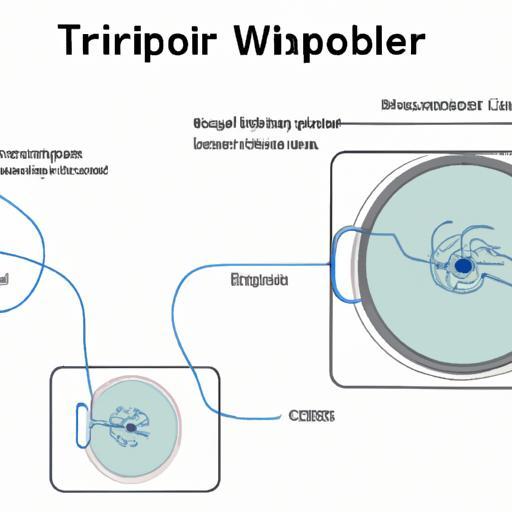 Diagrama De Refrigerador Whirlpool